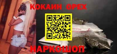 крисы Будённовск
