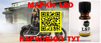 крисы Будённовск