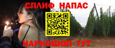 крисы Будённовск