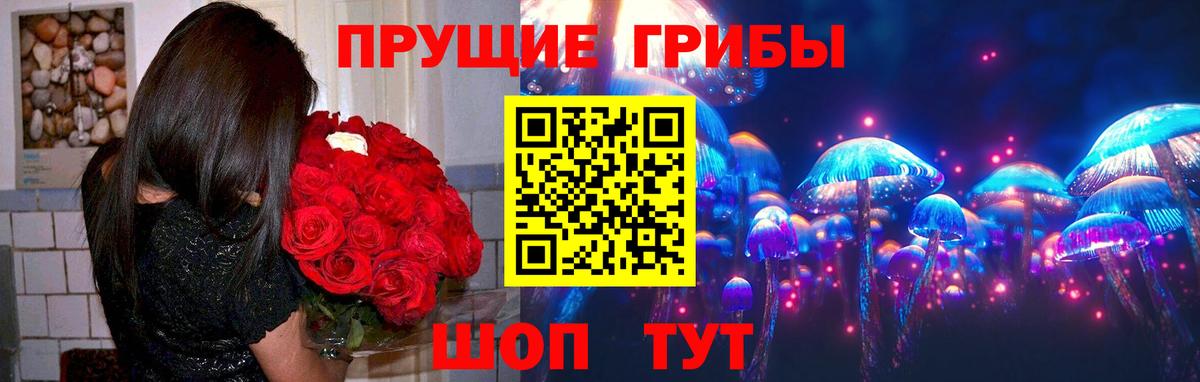 Псилоцибиновые грибы Psilocybe  Вход с VPN  Ногинск  Псилоцибиновые грибы ЛСД 
